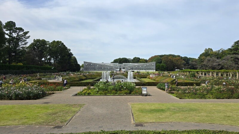 神代植物公園の秋のバラフェスタ｜秋でもきれいなバラは見れるの？