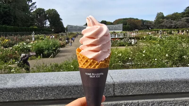 神代植物公園の秋のバラフェスタ｜秋でもきれいなバラは見れるの？