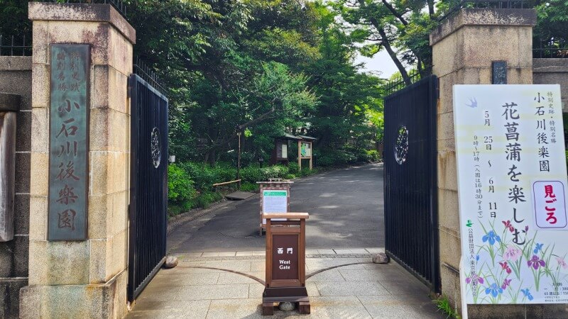 小石川後楽園の花菖蒲｜菖蒲田の場所と花の見頃と見どころは？