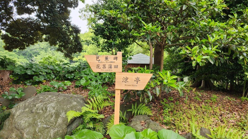 清澄庭園の花菖蒲｜菖蒲田の場所と花の見頃と見どころは？