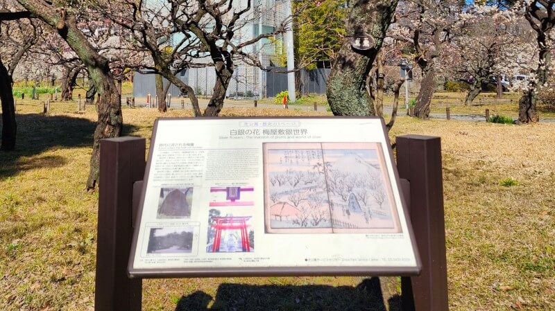 芝公園の梅の花｜梅園「銀世界」の場所、見頃・見どころは？