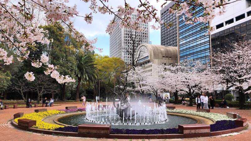 日比谷公園の桜｜かもめ広場、雲形池、草地広場などの桜が綺麗でした