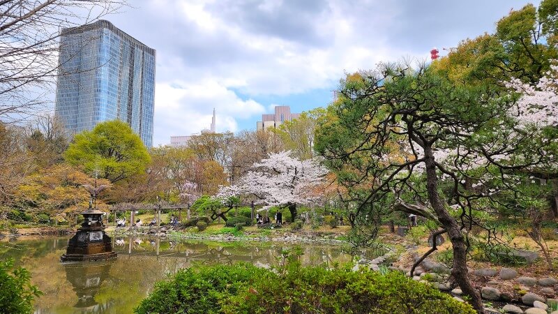 日比谷公園の桜｜かもめ広場、雲形池、草地広場などの桜が綺麗でした