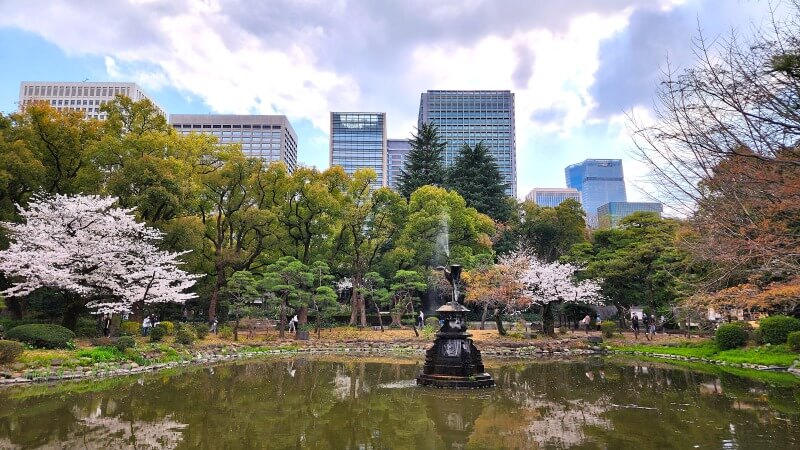 日比谷公園の桜｜かもめ広場、雲形池、草地広場などの桜が綺麗でした