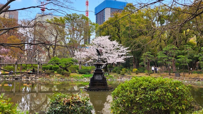 日比谷公園の桜｜かもめ広場、雲形池、草地広場などの桜が綺麗でした